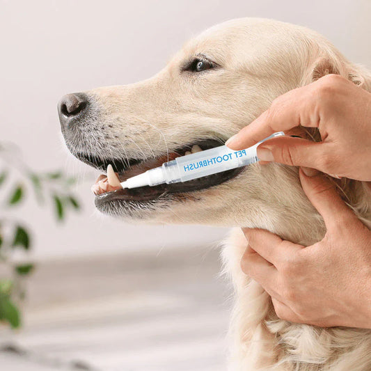 Pet Teeth Cleaning Pen