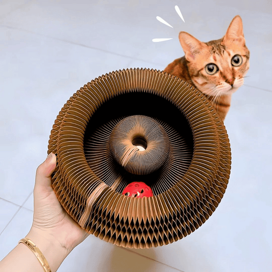 HuntLoop Interactive Cat Toy