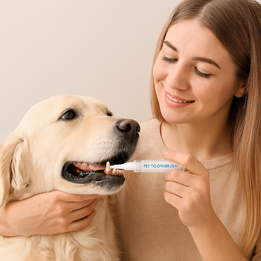 Pet Teeth Cleaning Pen
