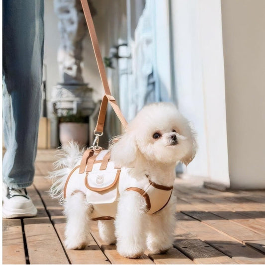 EasyGo Pet Carrier Harness