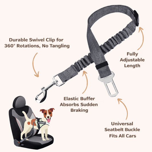 SafeRide Paw Belt™ 🐶🚗