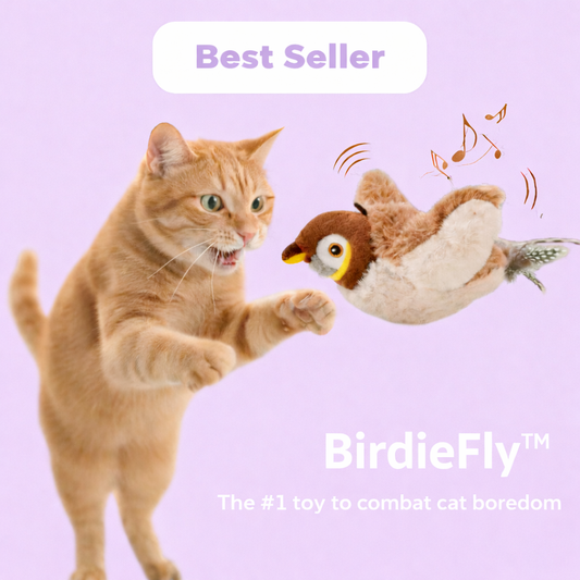🐦BirdieFly - Interactive Bird Toy