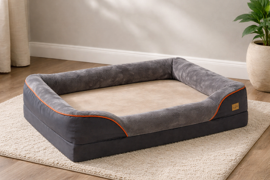 RoyalRest Orthopedic Sofa Bed