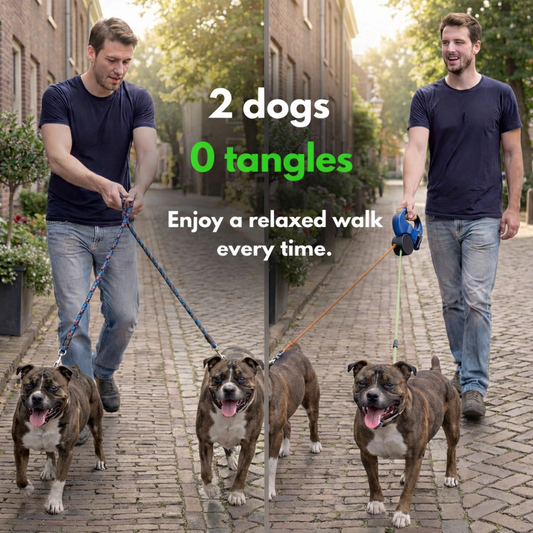 DualPaw 360 Tangle Free Dog Leash