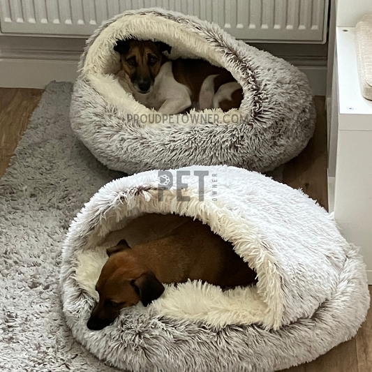 SnuggleBurrow Haven™ 🐶✨