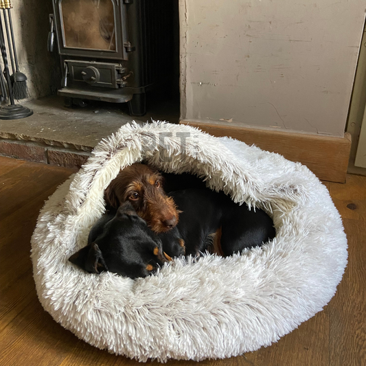 SnuggleBurrow Haven™ 🐶✨