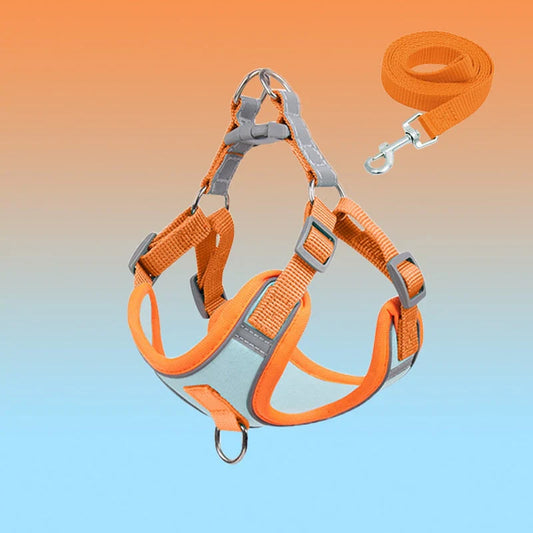 ShineWalk™ Pet Harness ✨🚶‍♂️