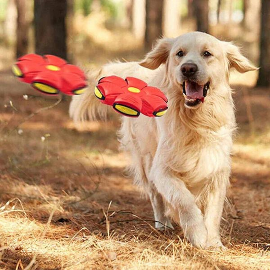 The Flip Flop Flyer