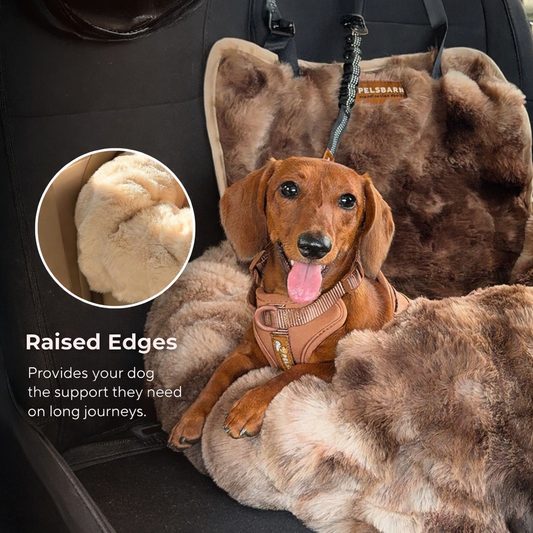 The DreamRide™ Cozy Dog Car Seat